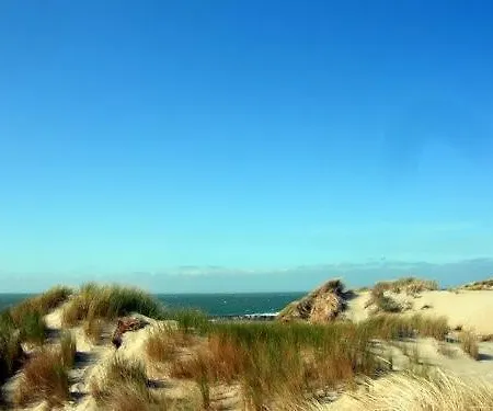 Vakantievilla Aan Zee 別荘